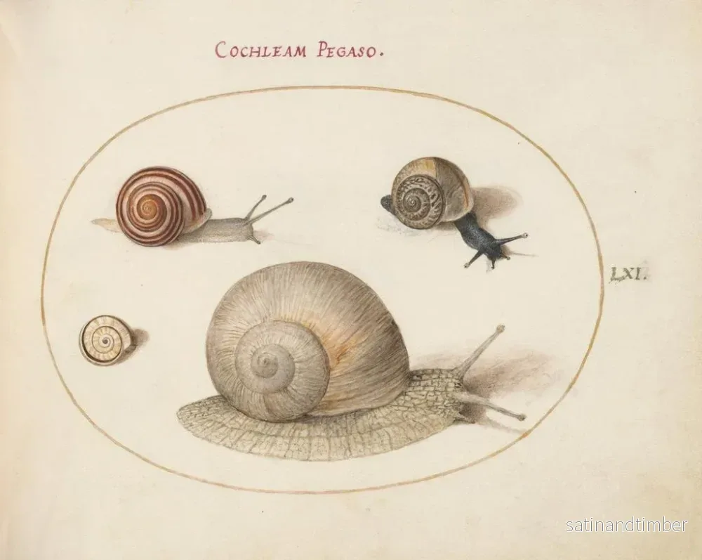 Reproduktion av målningen Quatre escargots - Joris Hoefnagel - Bild 2