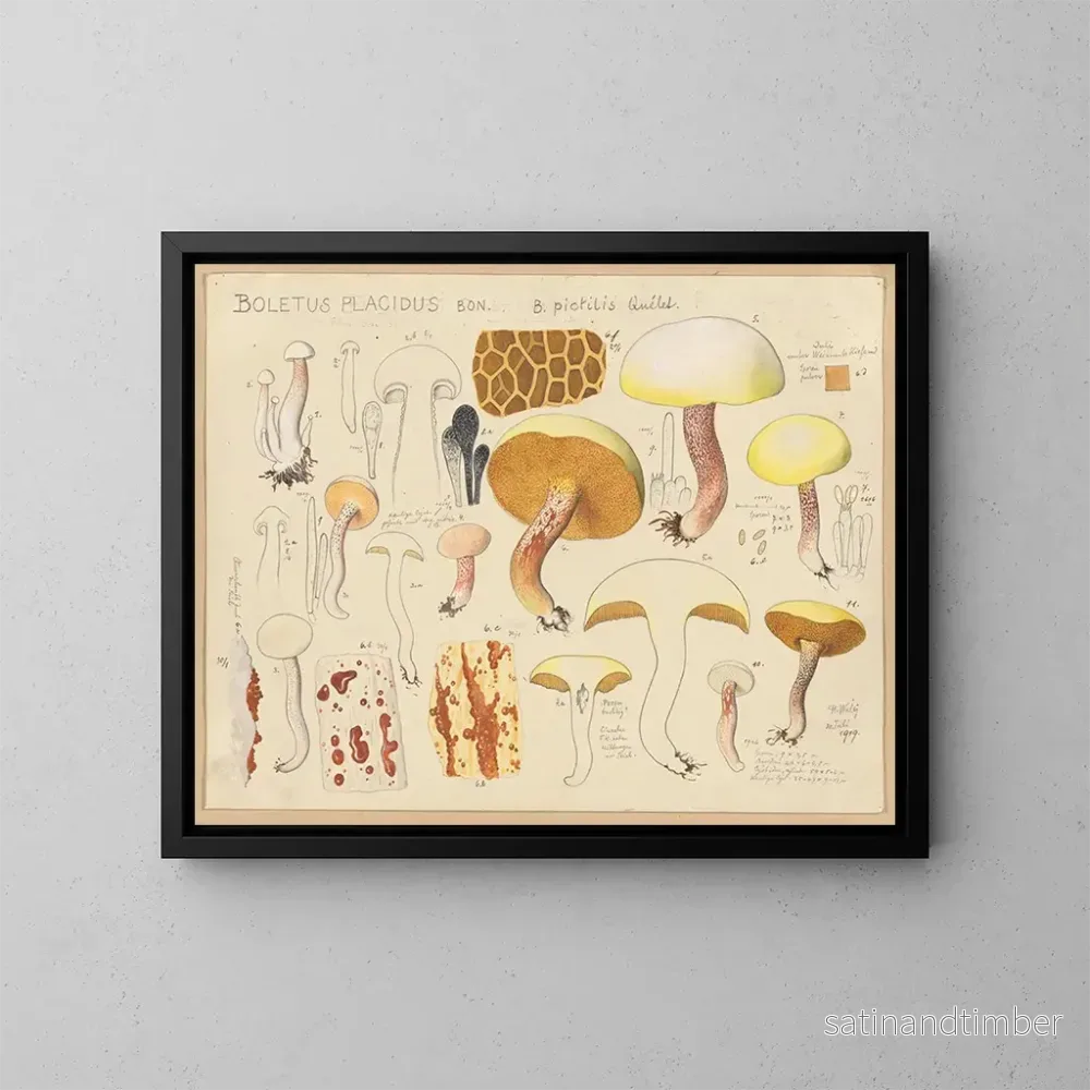 Reproduktion av målningen Boletus placidus – Hans Baldung Reproduktion av målningen Boletus placidus – Hans Baldung