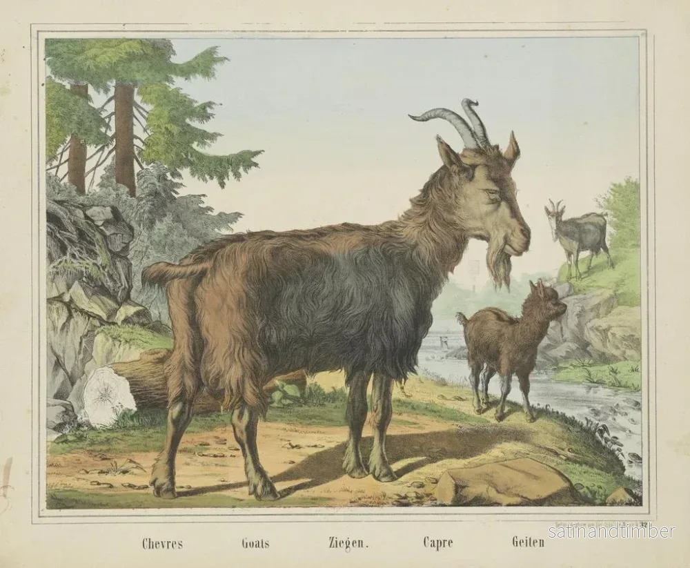Reproduktion av målningen Chèvres - Joseph Scholz - Bild 2