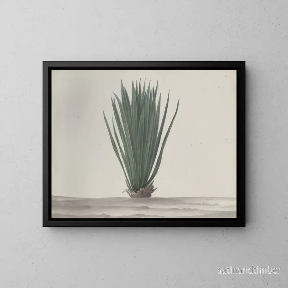 Reproduktion av målningen Histoire naturelle de Saint-Domingue Pl192 - René de Rabi