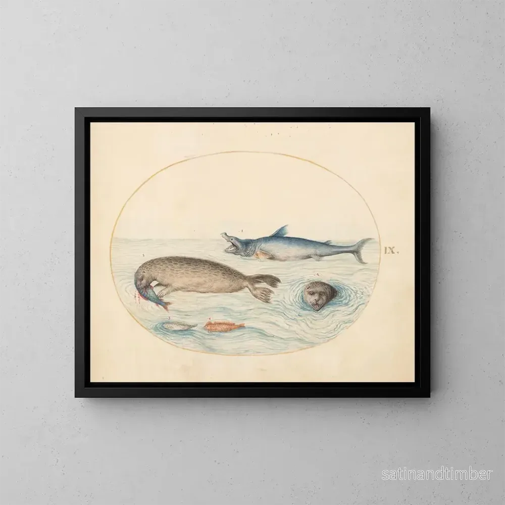 Reproduktion av målningen Platine 9 En stor vithaj, två sälar och två fiskar - Joris Hoefnagel