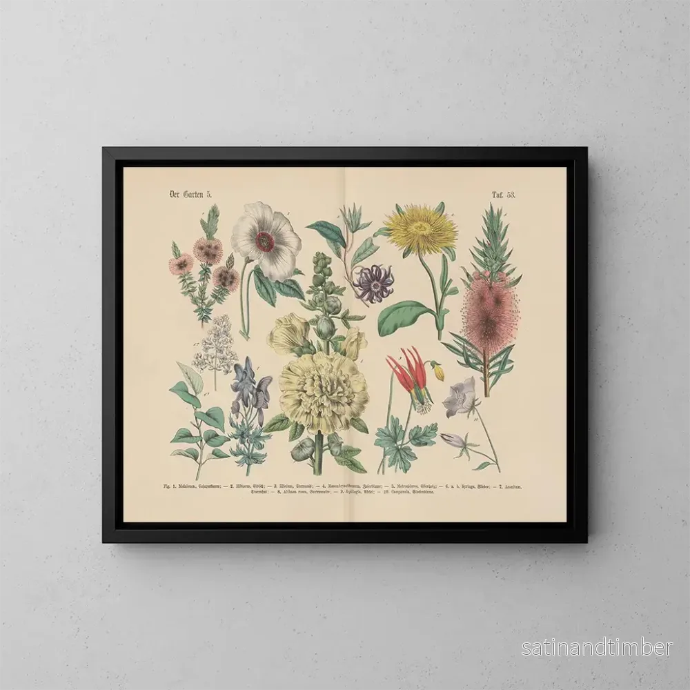 Reproduktion av målningen Manuel pratique de botanique en mots et en images Pl53 - Carl Hoffmann