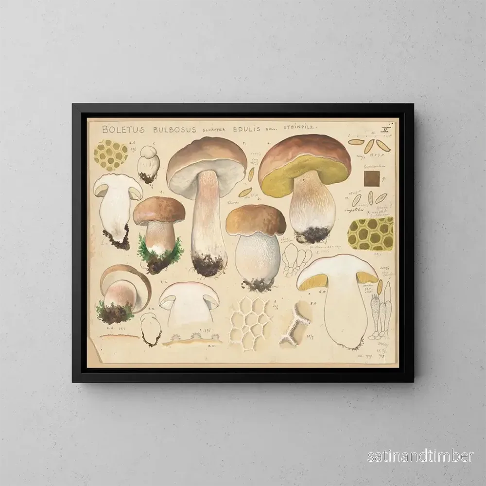 Reproduktion av målningen Boletus bulbosus, ätbar svamp – Hans Baldung Reproduktion av målningen Boletus bulbosus, ätbar svamp – Hans Baldung