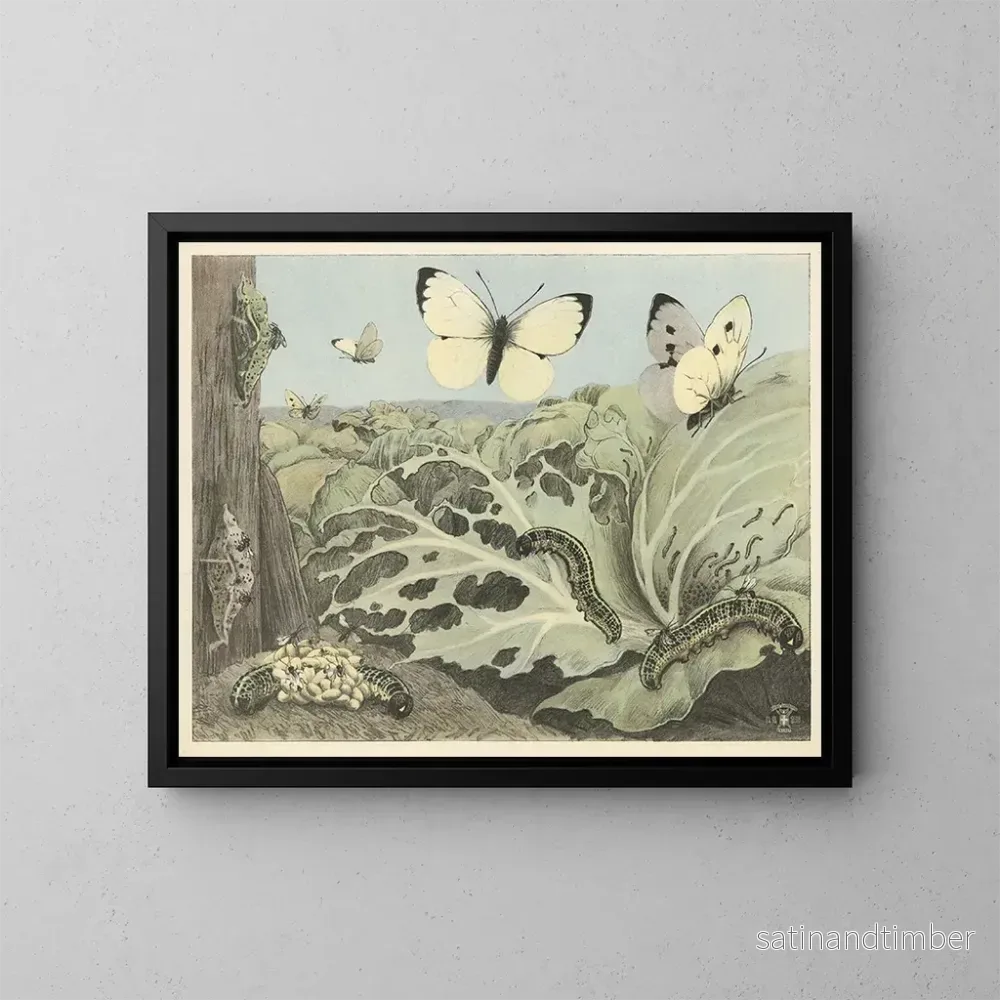Reproduktion av målningen Papillons de chou - Oluf August Hermansen