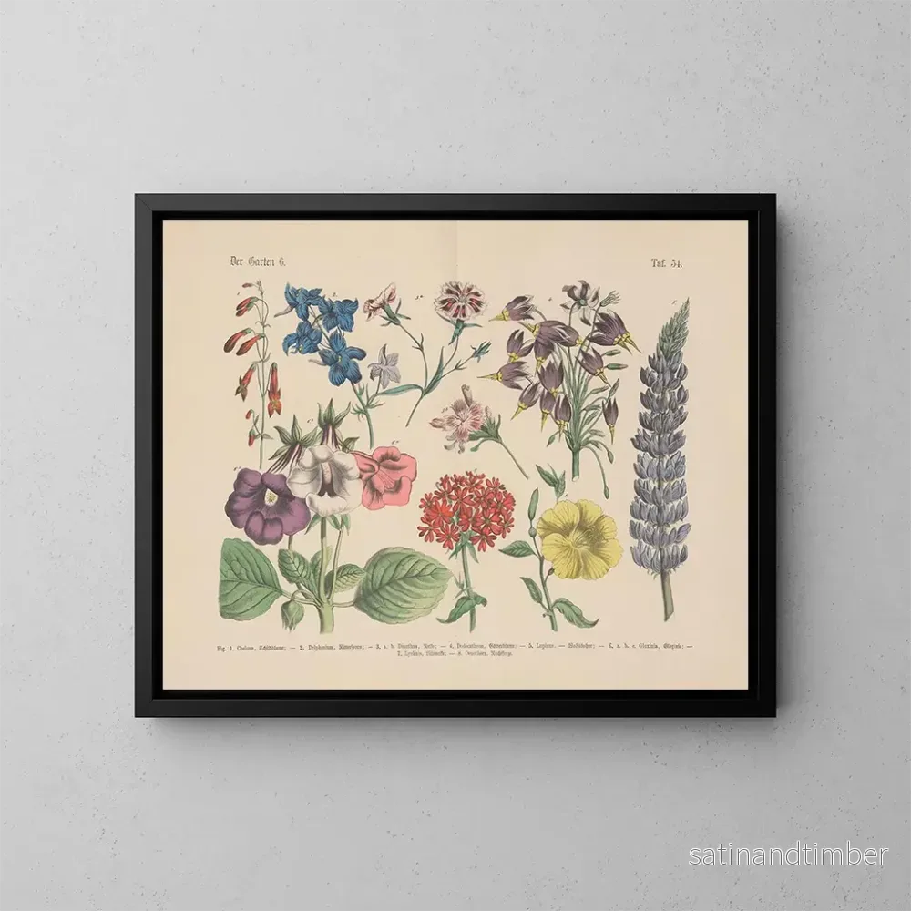 Reproduktion av målningen Manuel de botanique pratique en mots et en images Pl54 - Carl Hoffmann