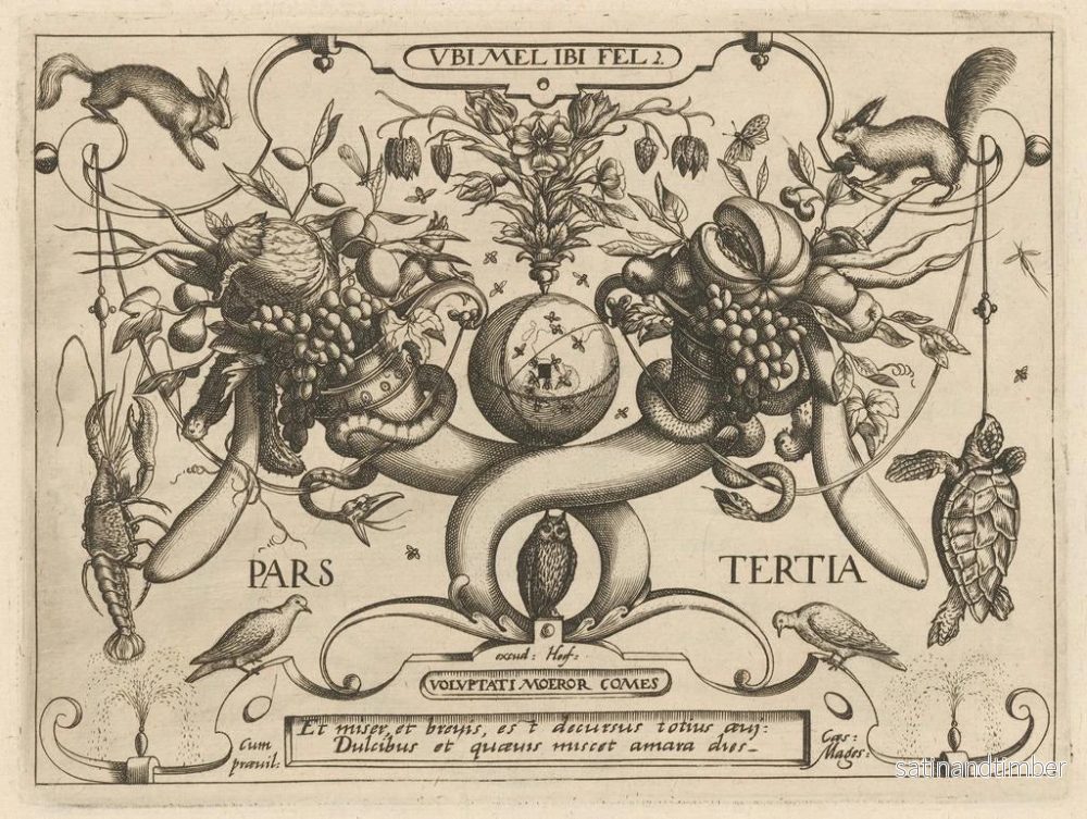 Reproduktion av målningen av arketyp och studier av fadern Georgius Hoefnagel, Pl. 26 - Joris Hoefnagel - Bild 2