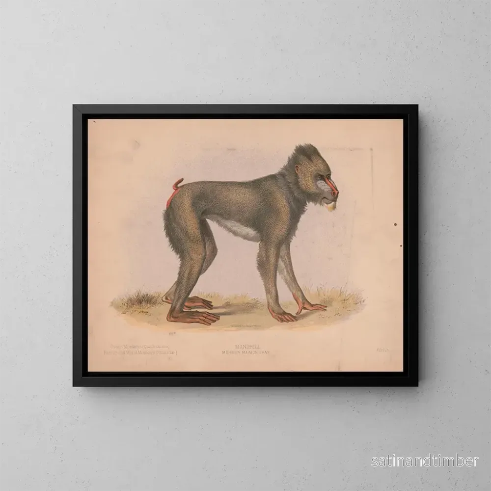 Reproduktion av målningen Mormon Maimon Gray - Louis Prang Co