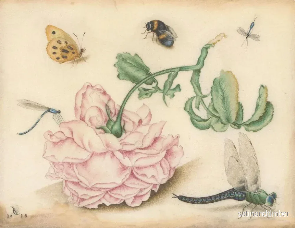 Reproduktion av målningen En ros och fem insekter - Christoffel van den Berghe - Bild 2