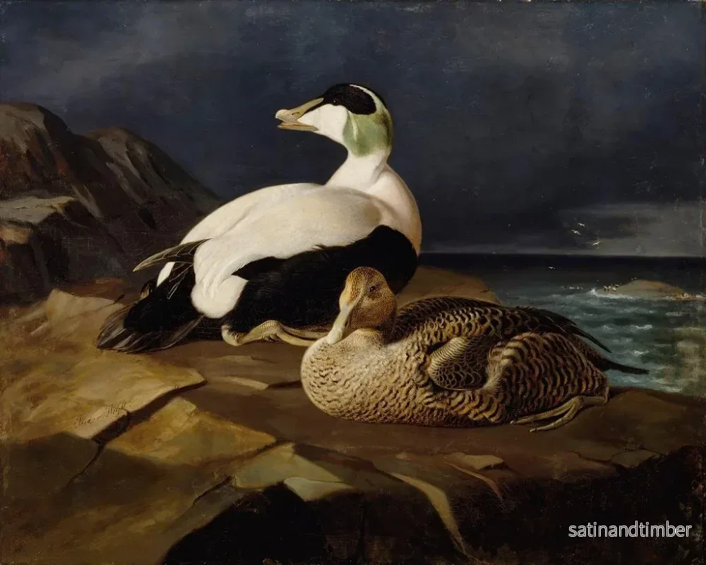 Reproduktion av målningen Par av knölsvanar på en klippa - Ferdinand von Wright - Bild 2