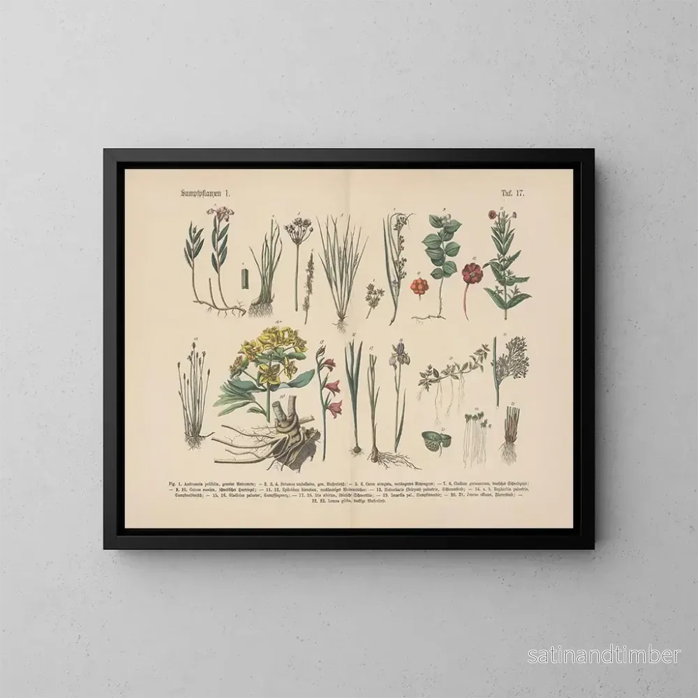 Reproduktion av målningen Manuel de botanique pratique en mots et en images Pl17 - Carl Hoffmann