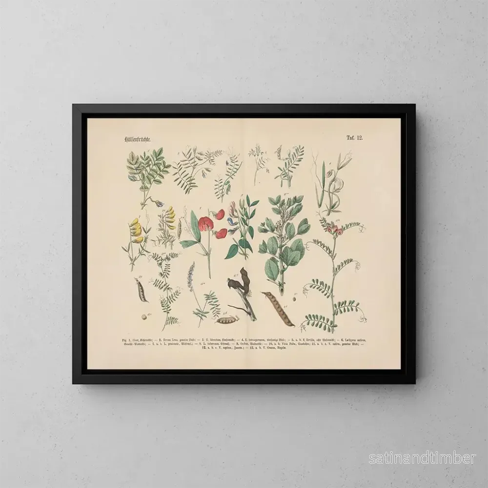 Reproduktion av målningen Manuel de botanique pratique en mots et en images Pl12 - Carl Hoffmann