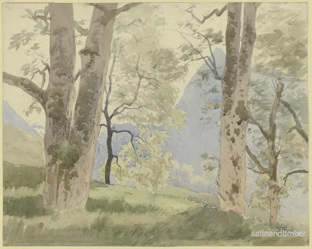 Reproduktion av målningen Landskap av Svartskogen, vy från skogskanten mot bergen - Hans Thoma - Bild 2