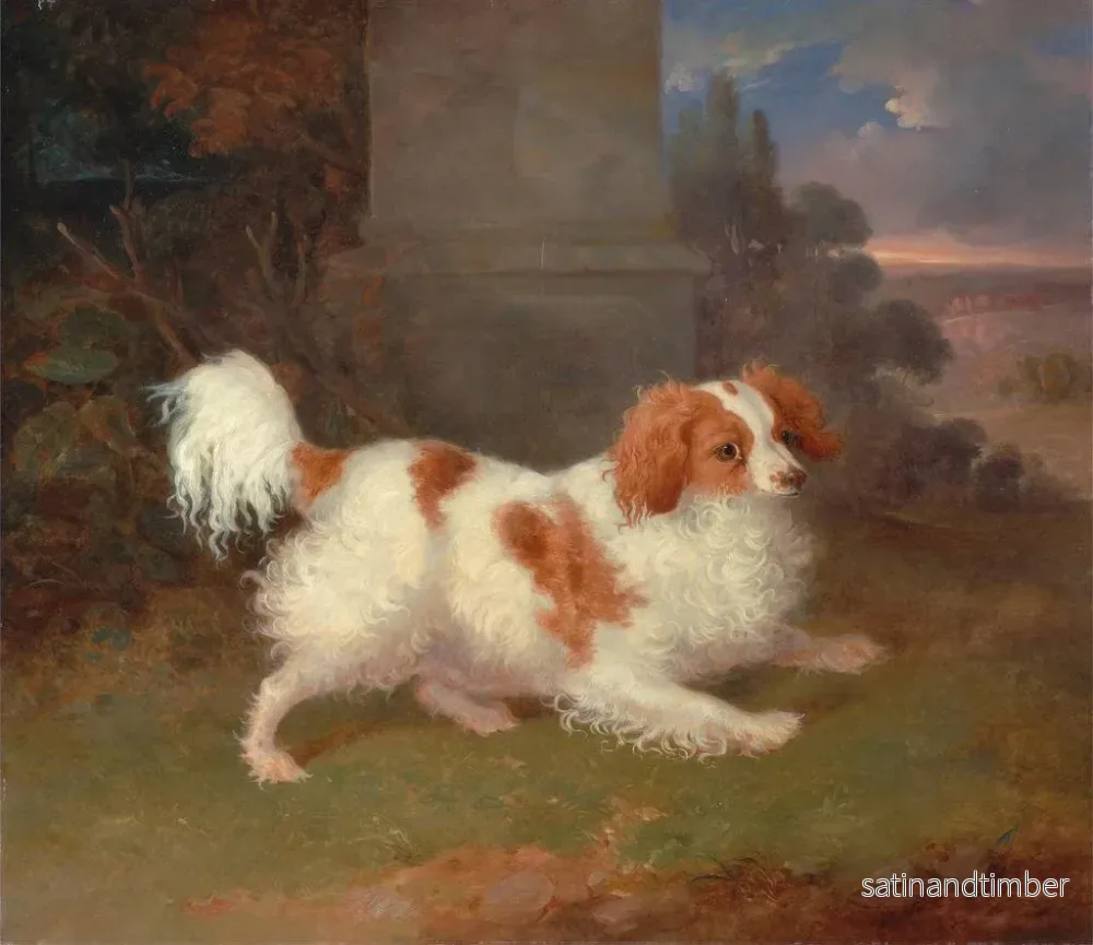 Reproduktion av målningen En blenheim spaniel - William Webb - Bild 2