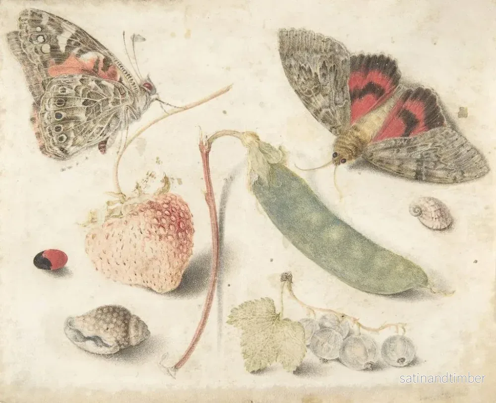 Reproduktion av målningen Studier av frukter, insekter och skaldjur - Georg Flegel - Bild 2