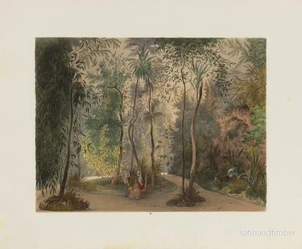 Reproduktion Le jardin d'hiver dans la Hofburg – Franz Antoine — plansch 04 - Bild 2