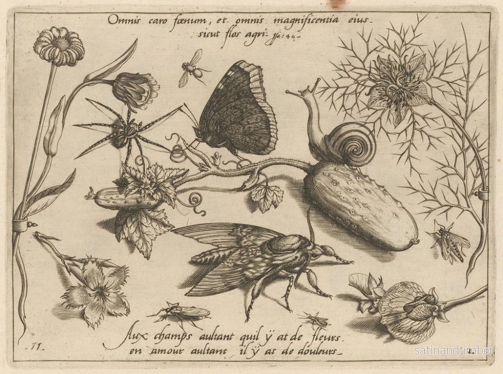 Reproduktion av målningen av arketyp och studier av fadern Georgius Hoefnagel Pl15 - Joris Hoefnagel - Bild 2