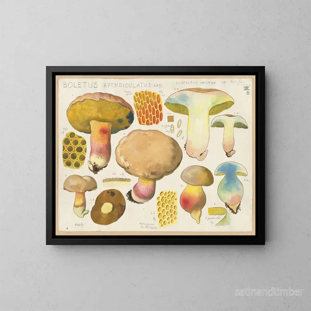 Reproduktion av målningen Boletus appendiculatus Schff suspectus Krombh – Hans Baldung Reproduktion av målningen Boletus appendiculatus Schff suspectus Krombh – Hans Baldung
