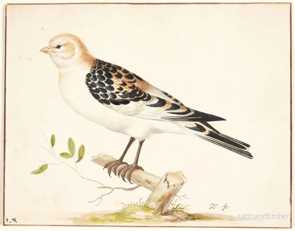Reproduktion av målningen En snöträd - Pieter Holsteijn - Bild 2