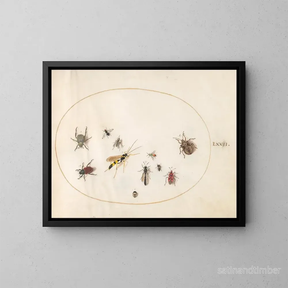 Reproduktion av målningen Platine 72: Sköldpaddespik, kanelkvalster, geting och andra insekter - Joris Hoefnagel