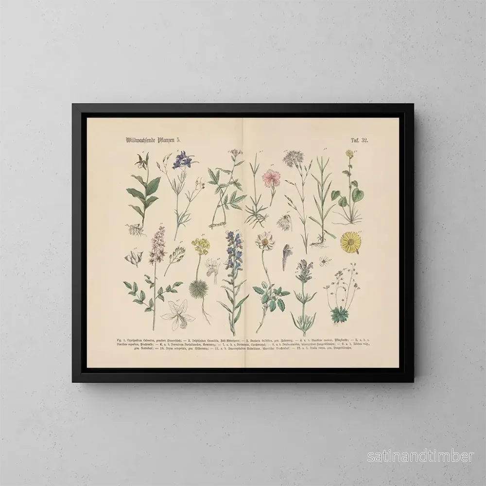 Reproduktion av målningen Manuel de botanique pratique en mots et en images Pl32 - Carl Hoffmann