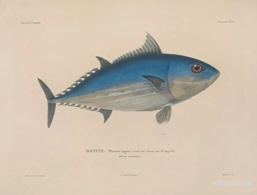 Resa runt världen — plansch 039 — Louis-Isidore Duperrey - Bild 2