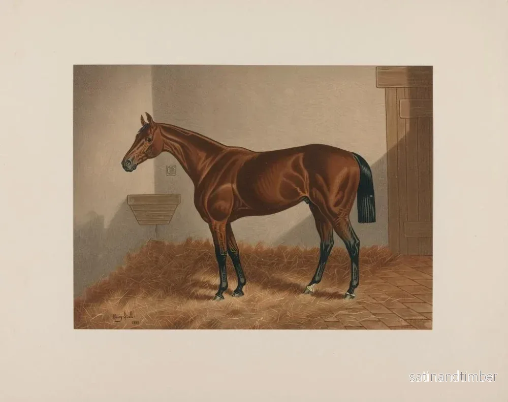 Reproduktion av målningen Cheval de Ten Broeck Bay - Henry Stull - Bild 2
