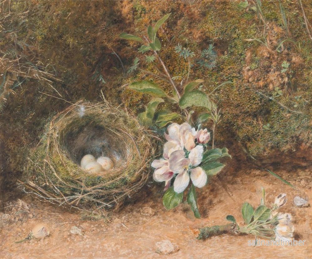 Reproduktion av målningen Nid d'oiseaux med blomstergrenar av äppleträd - William Henry Hunt - Bild 2