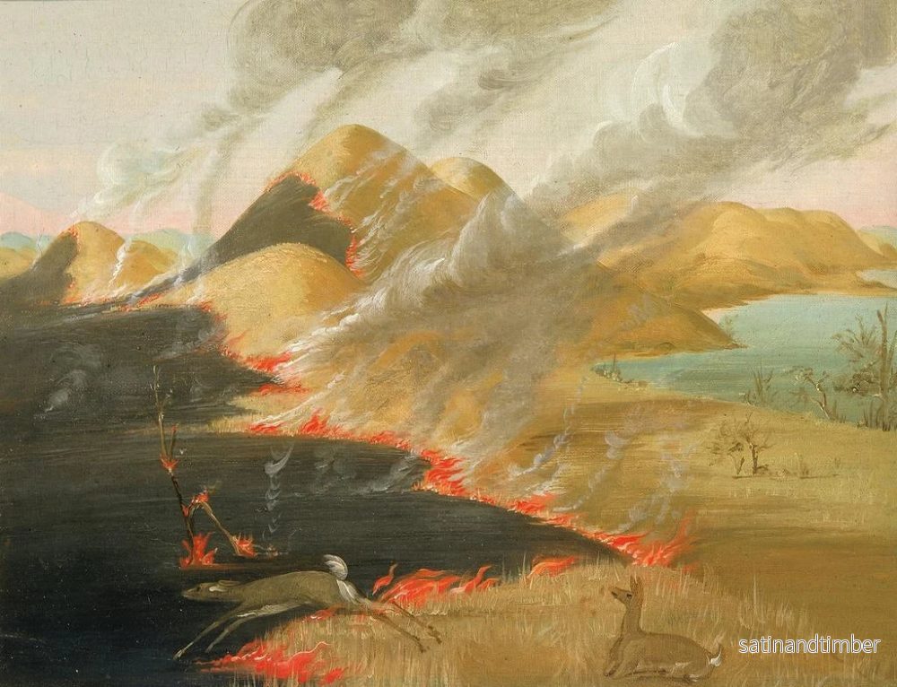 Reproduktion av målningen Bränning av prärjättar - George Catlin - Bild 2