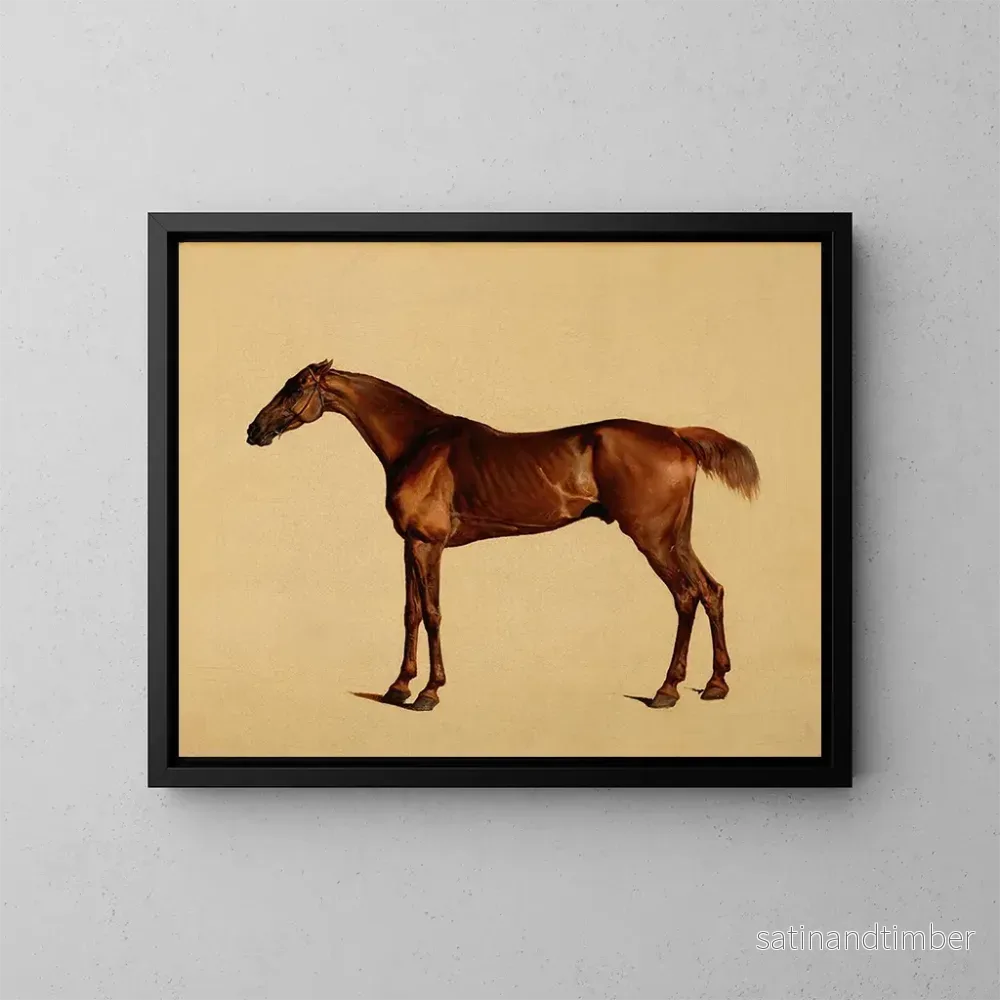Reproduktion av målningen Pangloss - George Stubbs