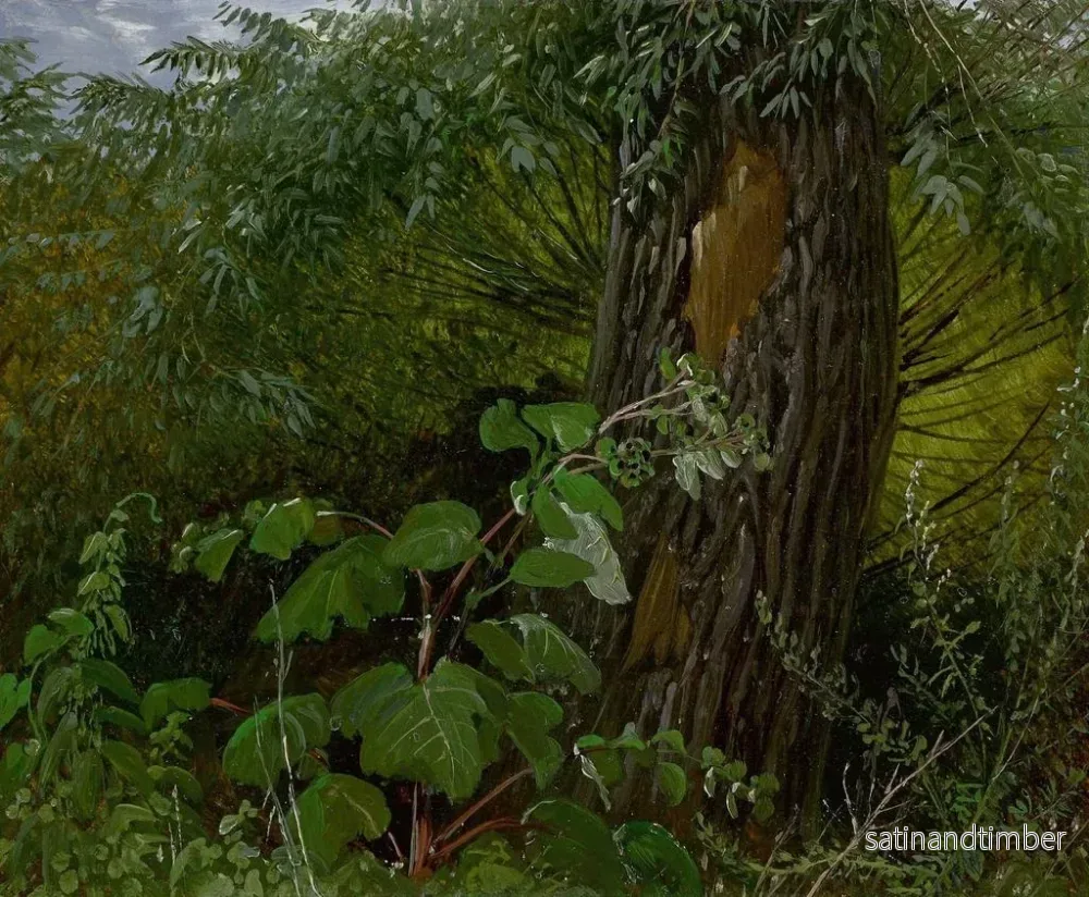 Reproduktion av målningen Pilstam med undervegetation - Carl Gustav Carus - Bild 2