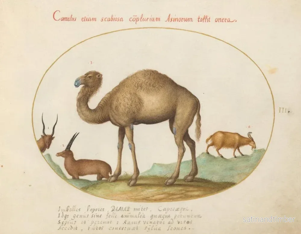 Reproduktion av målningen Ibex och kameldjur av getart - Joris Hoefnagel - Bild 2