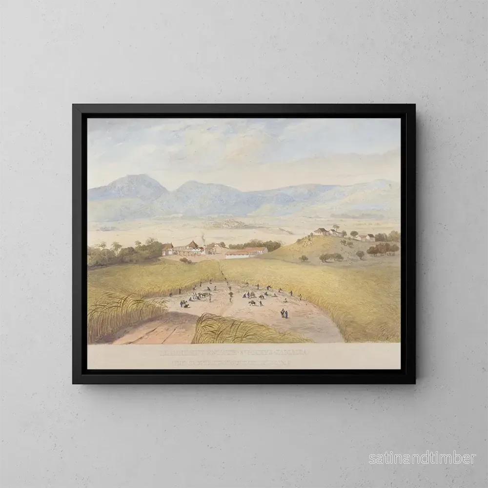 Reproduktion av målningen Domaine de Llanrumny, Sainte-Marie, Jamaïque - James Hakewill