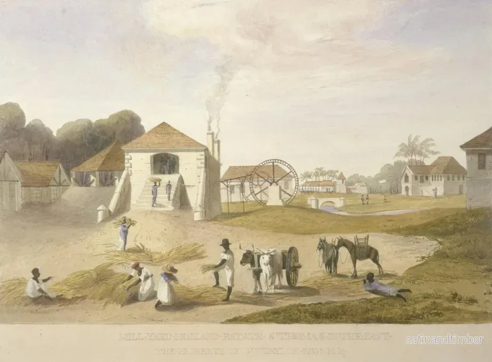 Reproduktion av målningen av gården vid kvarnen, Holland-området, Saint-Thomas i öster - James Hakewill - Bild 2