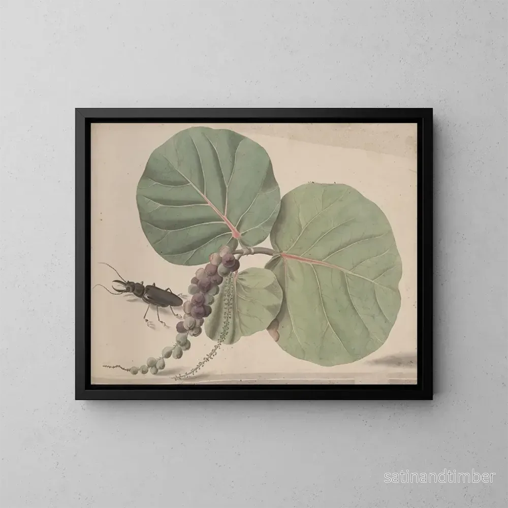 Reproduktion av målningen Histoire naturelle de Saint-Domingue Pl166 - René de Rabi