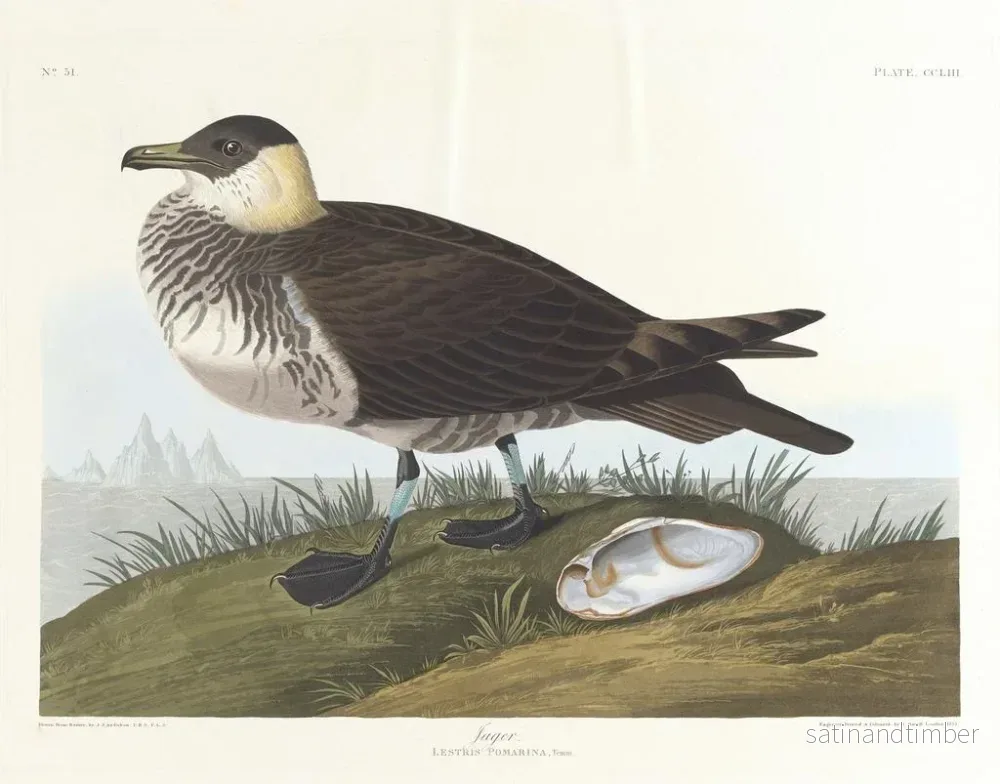 Reproduktion av målningen Jägare - John James Audubon - Bild 2
