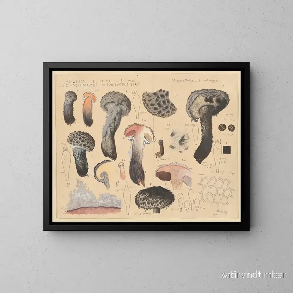 Reproduktion av målningen Boletus floccopus och Strobilomyces strobilaceus – Hans Baldung Reproduktion av målningen Boletus floccopus och Strobilomyces strobilaceus – Hans Baldung
