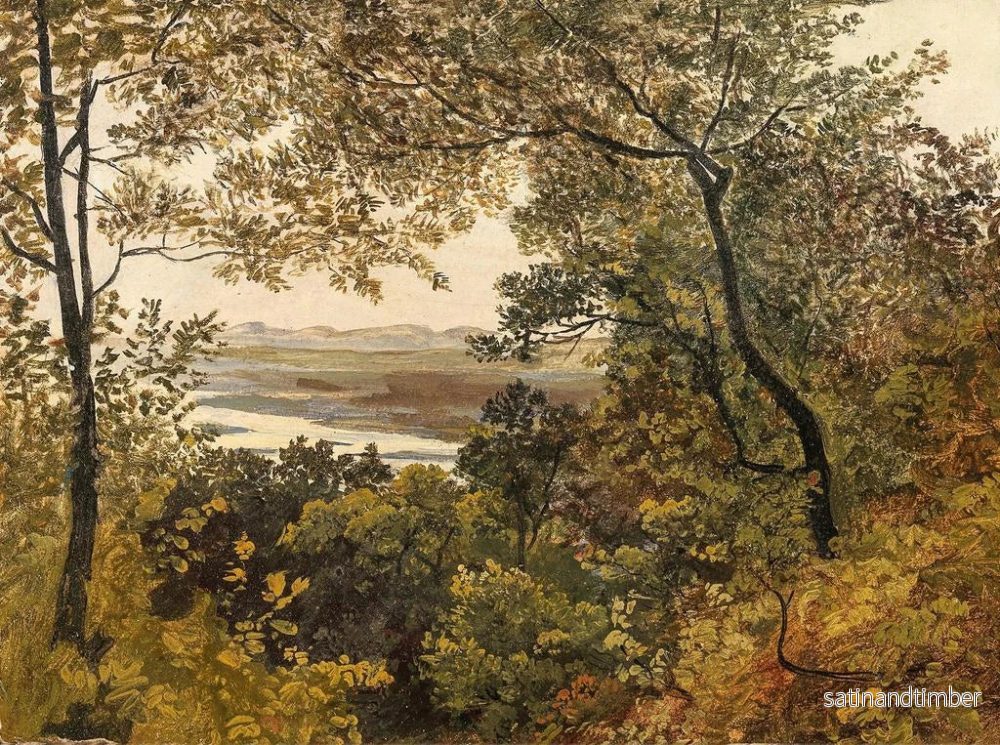 Reproduktion av målningen Vy över Donau obreglerad från Bisamberg - Friedrich Gauermanns cirkel - Bild 2