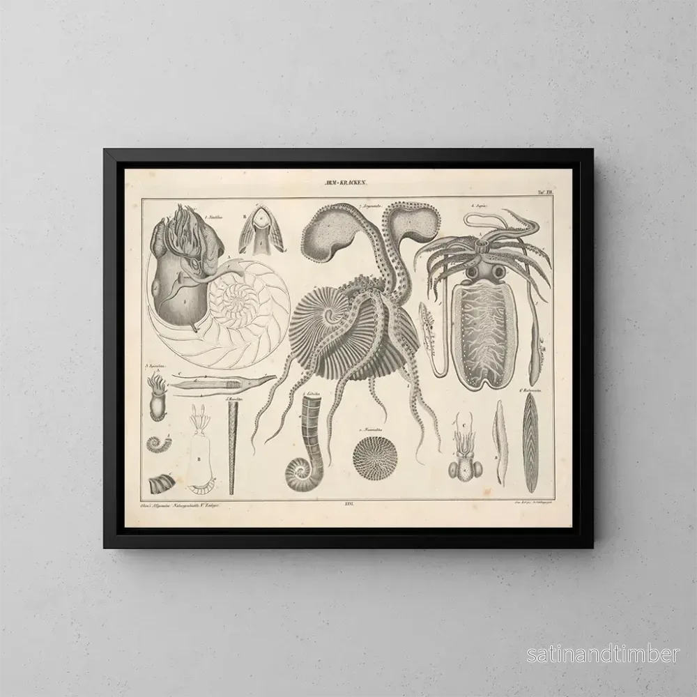 Reproduktion av målningen Illustrationer av den allmänna naturhistorien av Oken för alla tillstånd Pl072 - Lorenz Oken