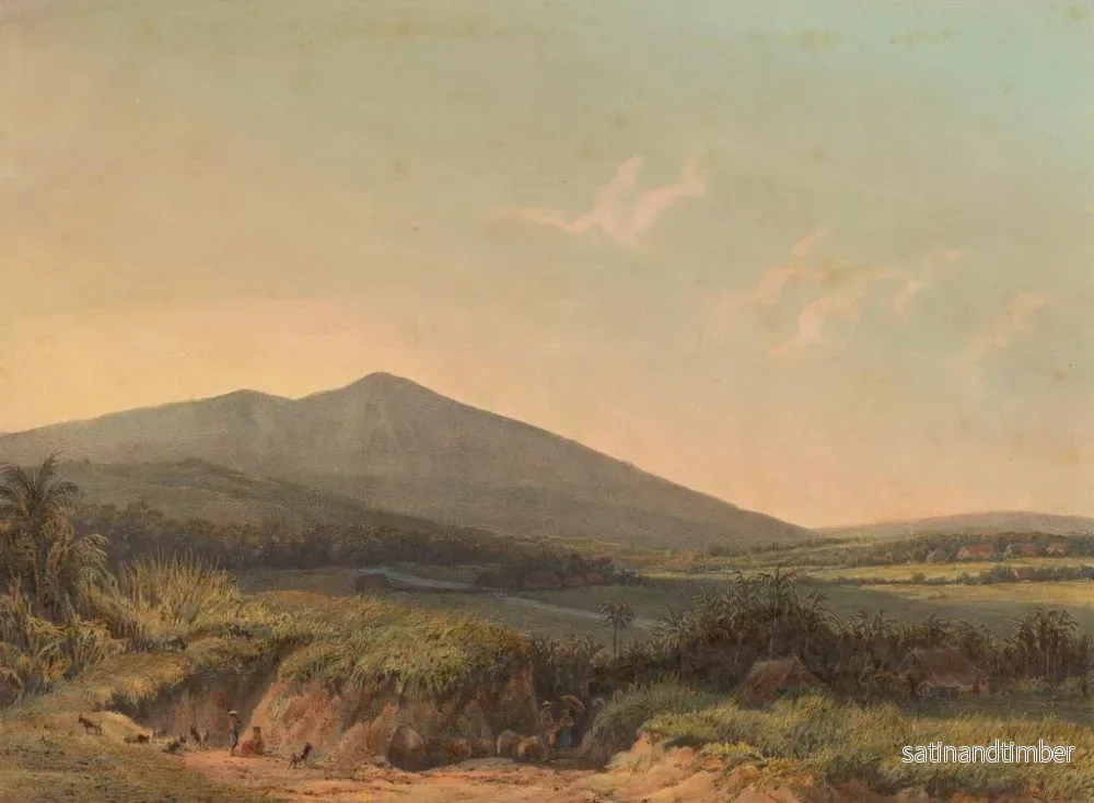 Reproduktion av målningen Vue de Kedungbadak - Johan Conrad Greive - Bild 2