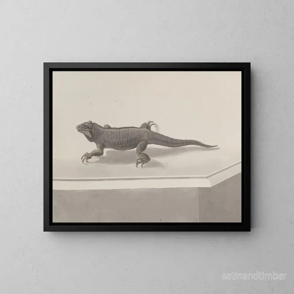 Reproduktion av målningen Histoire naturelle de Saint-Domingue Pl119 - René de Rabi