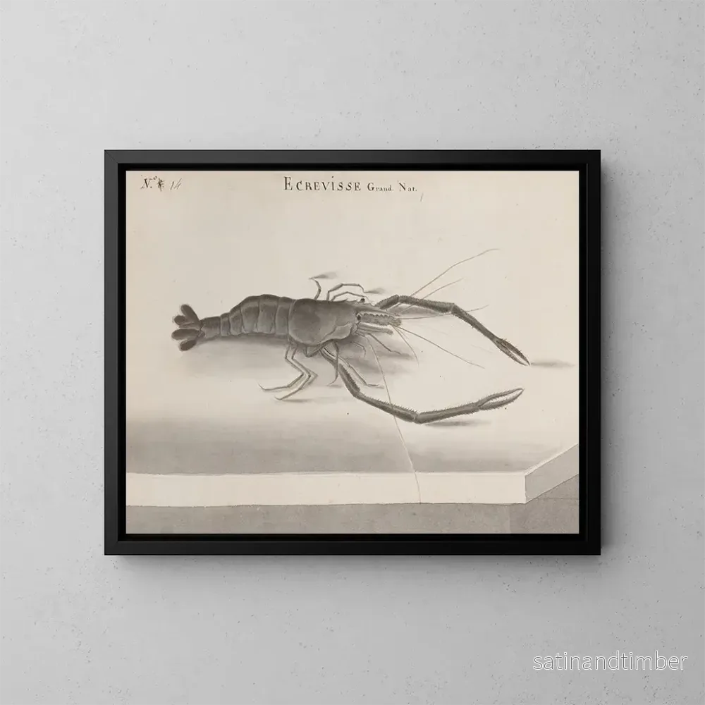 Reproduktion av målningen Histoire naturelle de Saint-Domingue Pl132 - René de Rabi