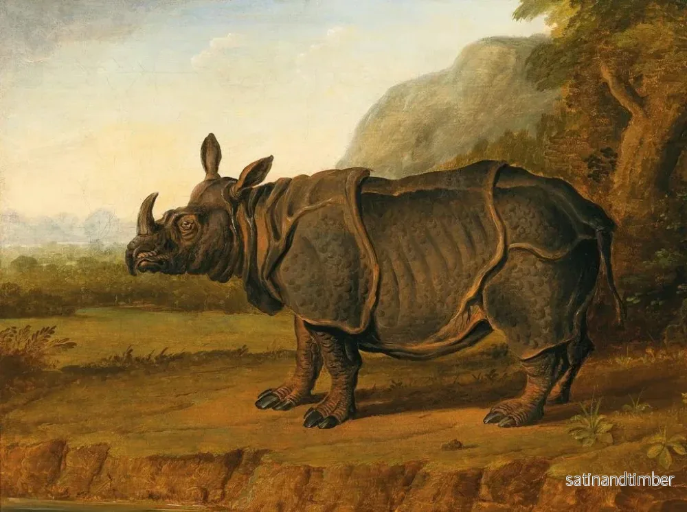 Reproduktion av målningen Le rhinocéros Clara - Ecole de Jean-Baptiste Oudry - Bild 2