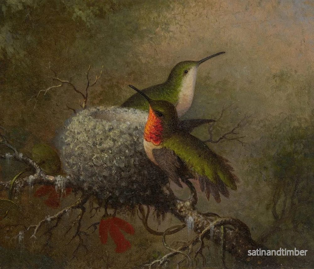 Reproduktion av målningen av två svalor nära sitt bo - Martin Johnson Heade - Bild 2