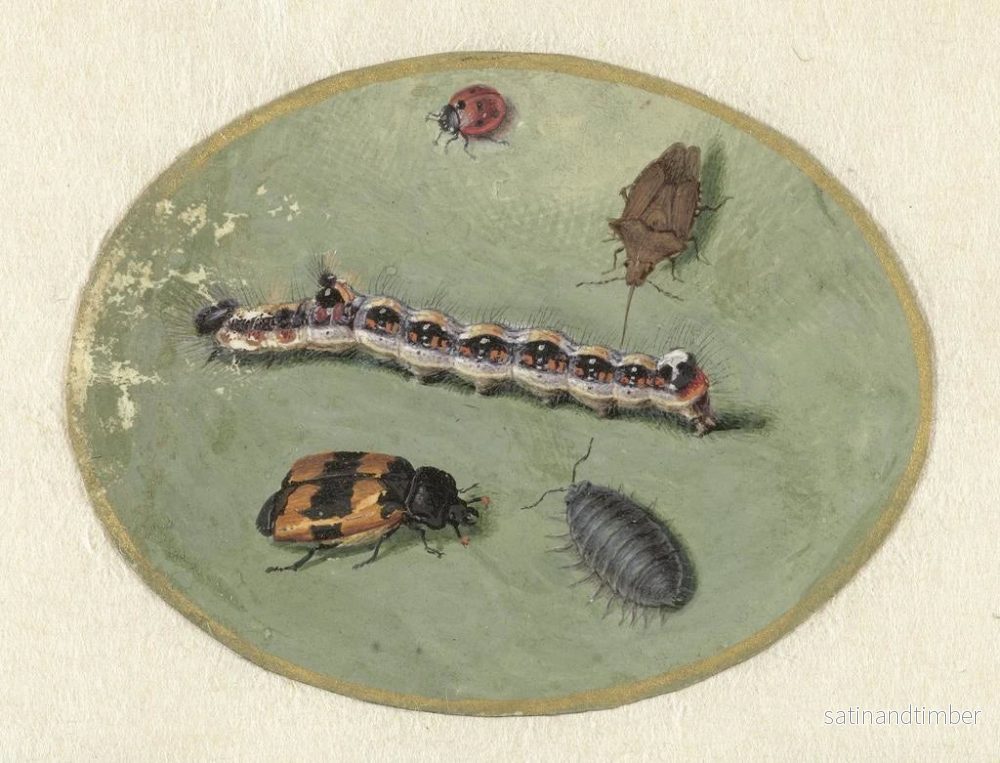 Reproduktion av målningen Coccinelle, larv, tvestjärt och två skalbaggar - Jan Augustin van der Goes - Bild 2