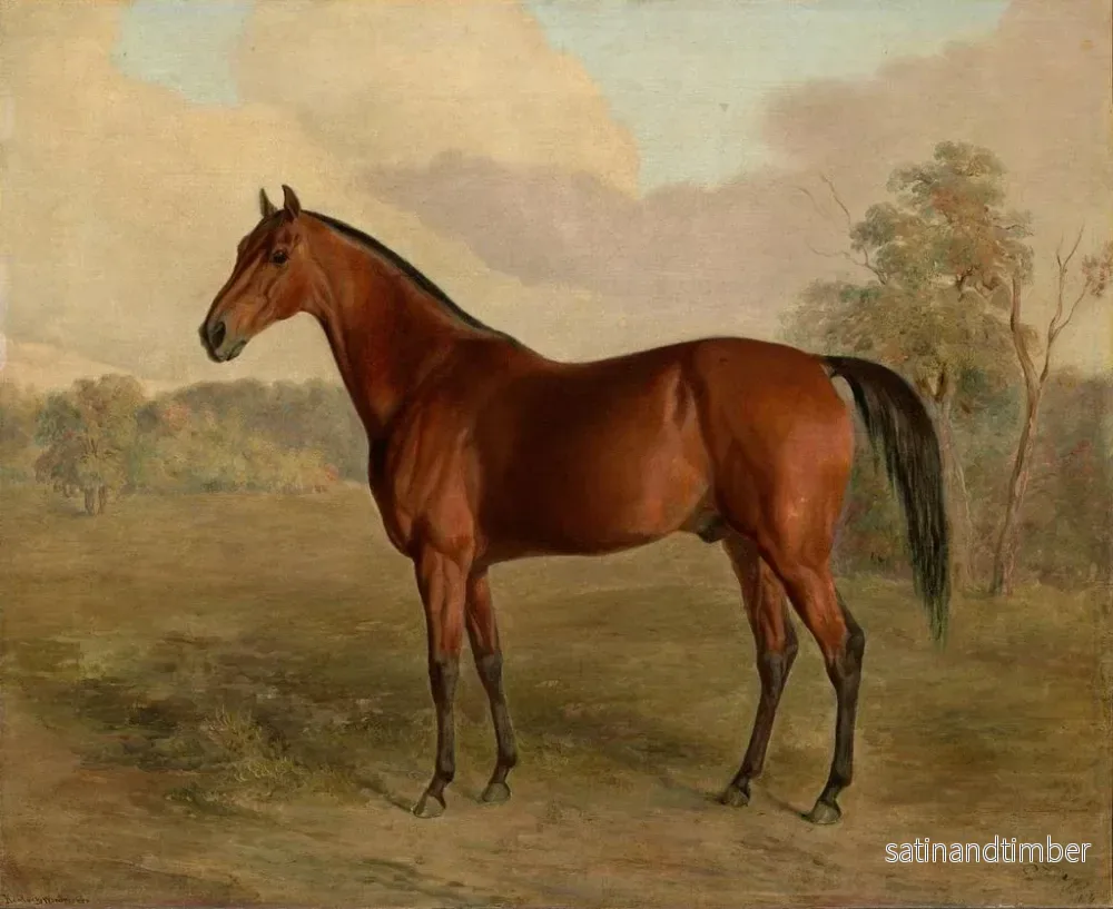 Reproduktion av målningen Pic du Kentucky - Edward Troye - Bild 2