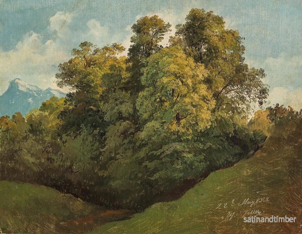 Reproduktion av målningen av Salzburger träd framför Untersberg - Friedrich Zeller - Bild 2