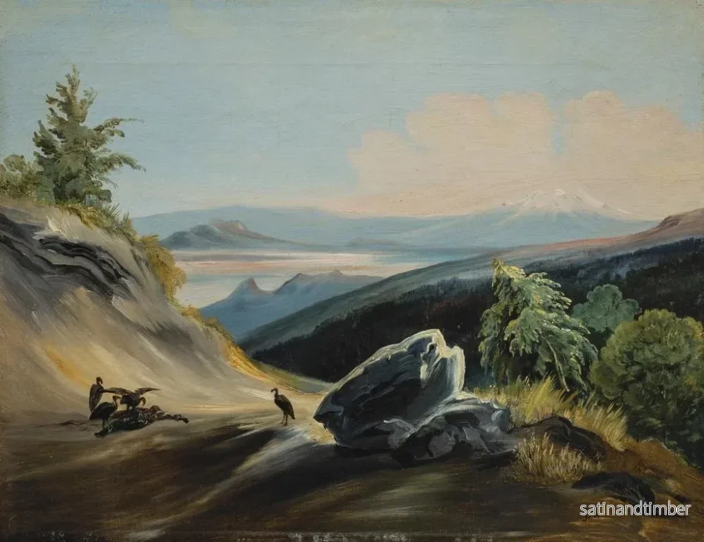 Reproduktion av målningen Landskapsmålning av stig med Iztaccíhuatl i fjärran - Johann Moritz Rugendas - Bild 2