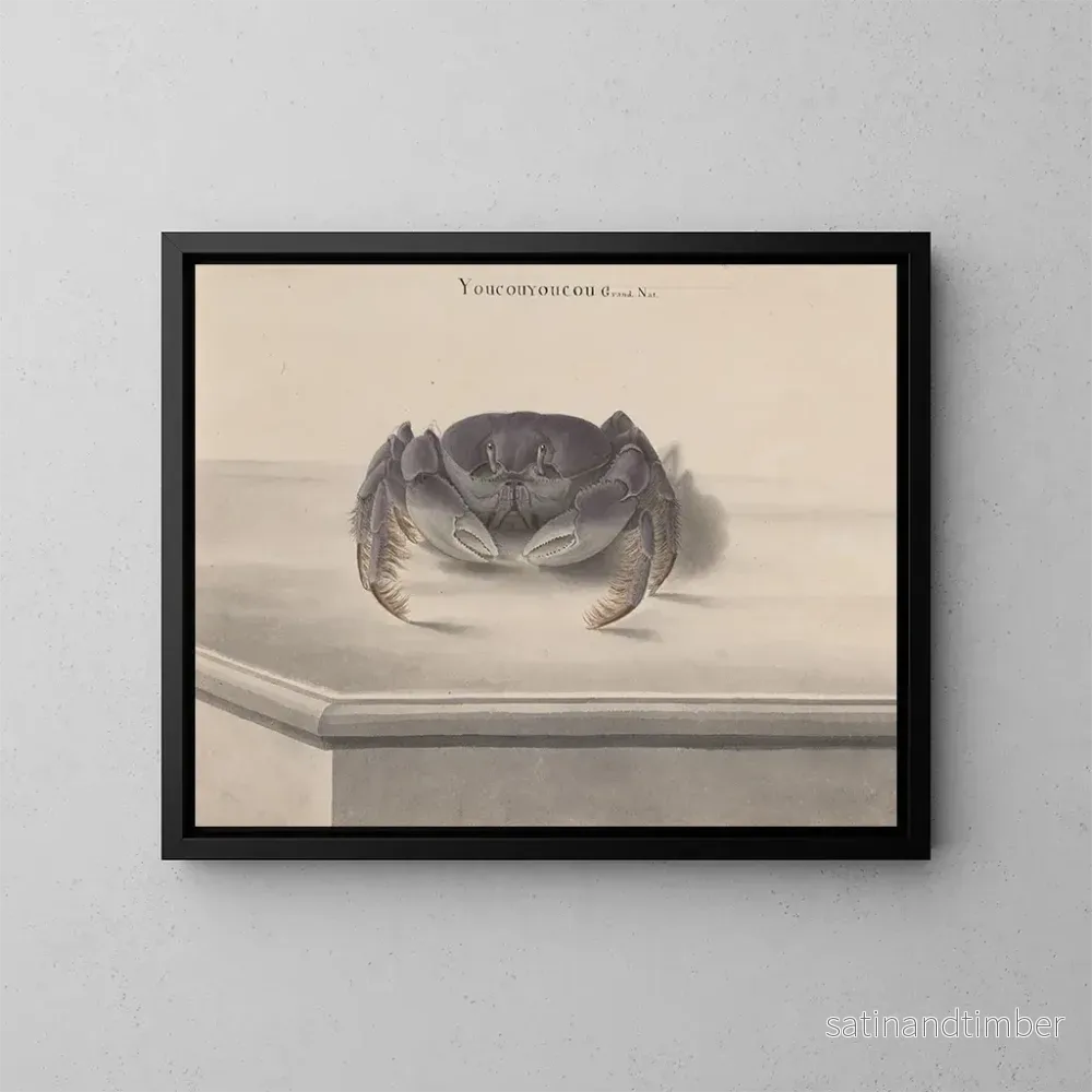 Reproduktion av målningen Histoire naturelle de Saint-Domingue - René de Rabi