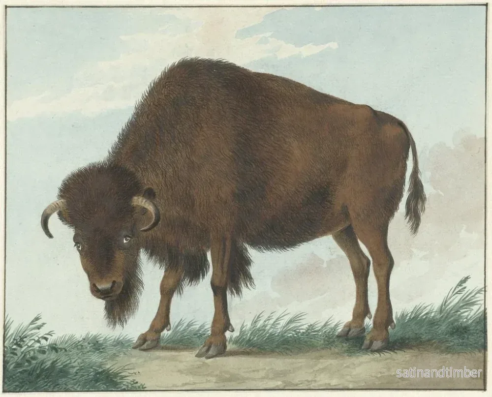 Reproduktion av målningen Bison - Isaac van Haastert - Bild 2