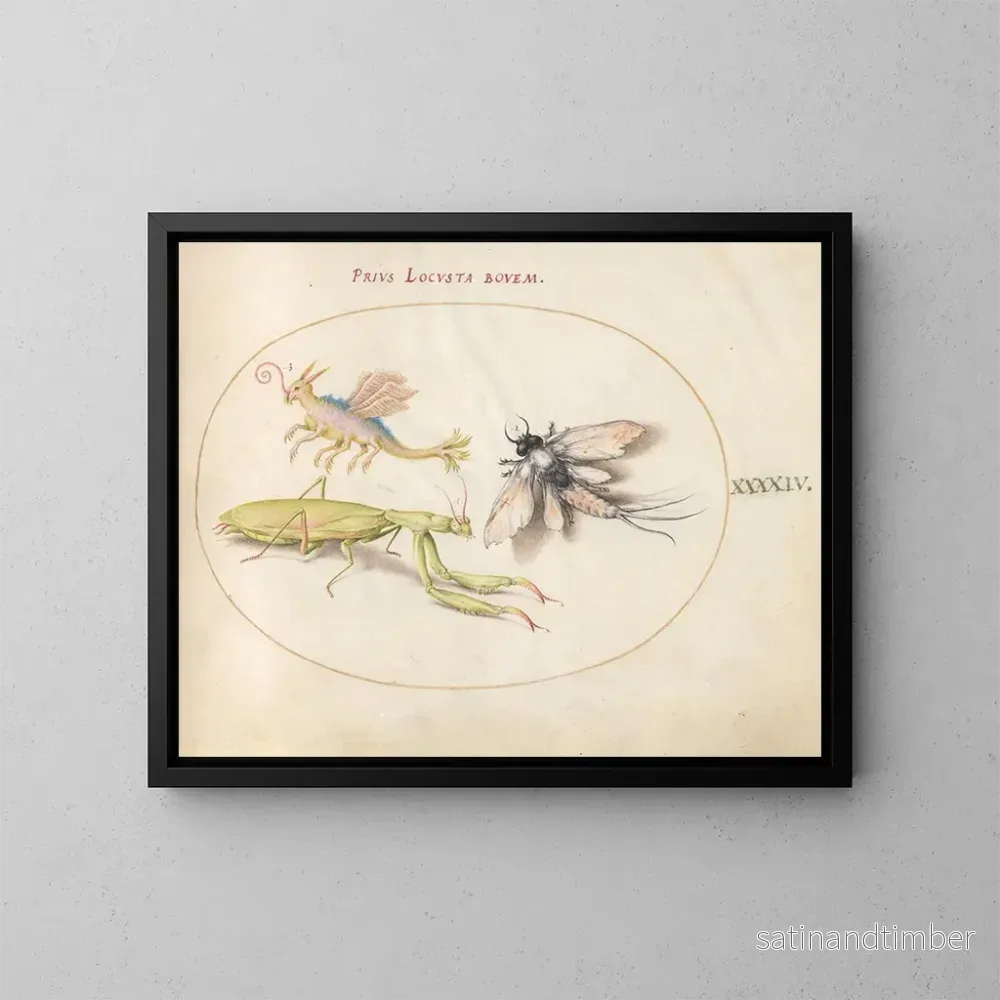Reproduktion av målningen Platine 44 Mante, Éphémère et un Locuste Fictionnel - Joris Hoefnagel
